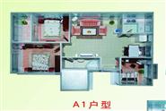 A户型