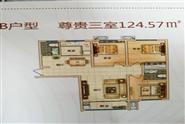B户型